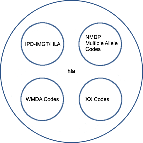 Code Systems Comprising hla Namespace